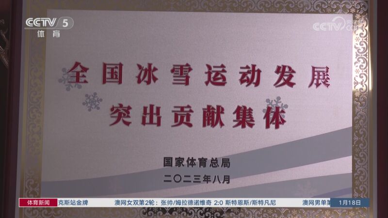 式向球迷表